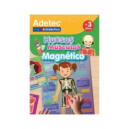 Laminas Huesos y Músculos